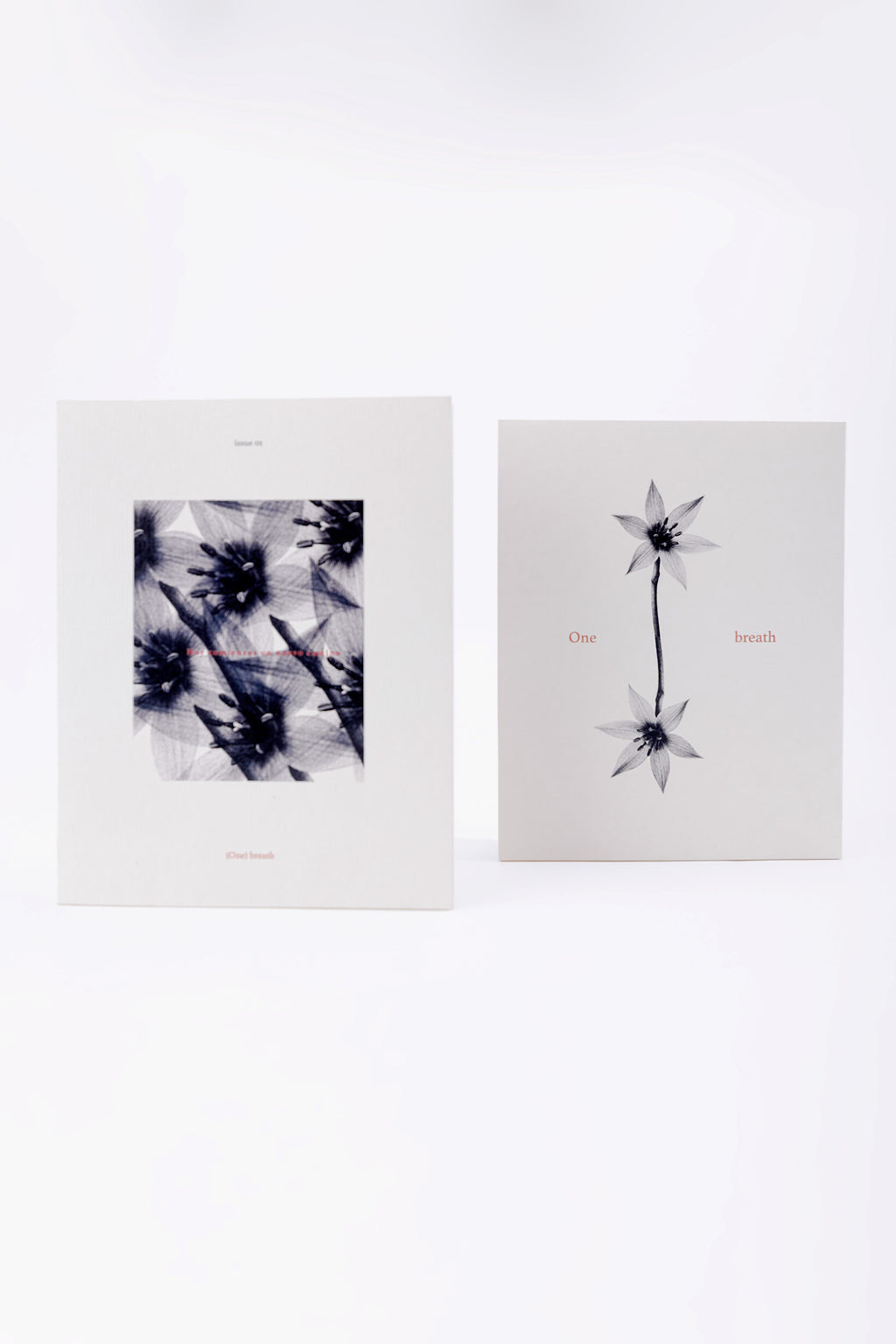 (One) Breath – Edición Botánica