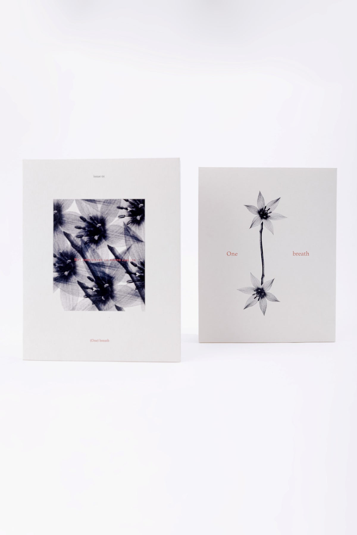 (One) Breath – Edición Botánica