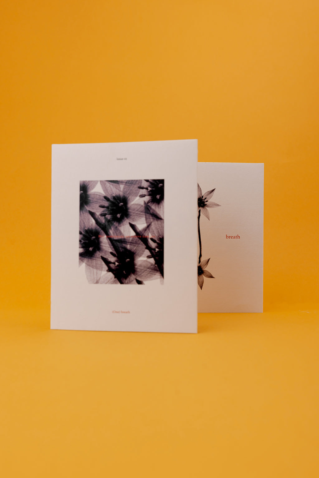 (One) Breath – Edición Botánica