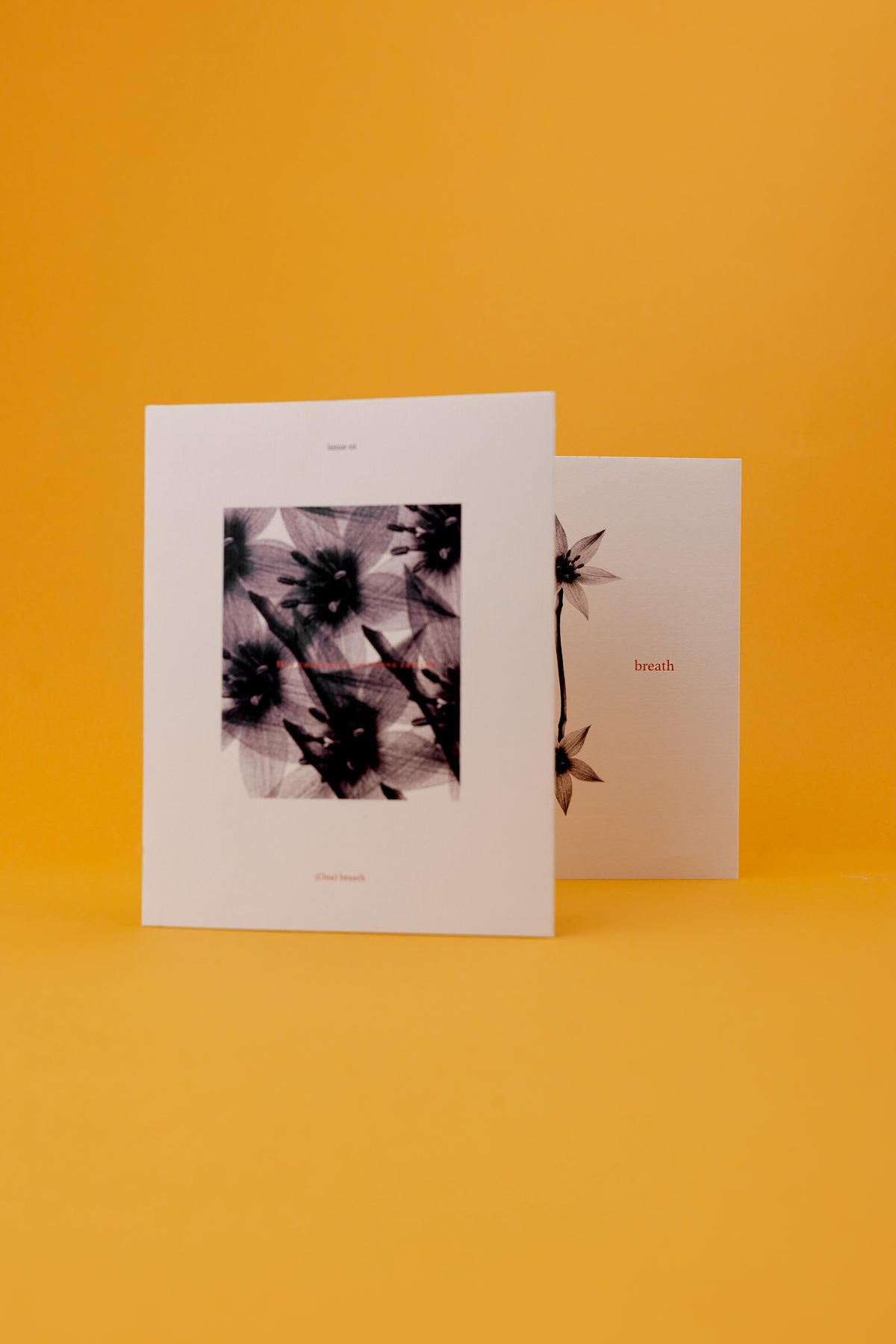 (One) Breath – Edición Botánica